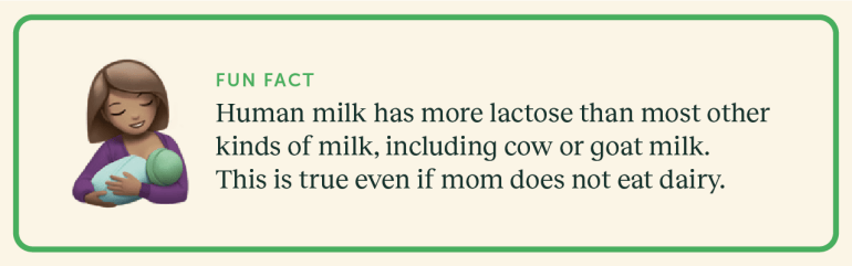 Infographic on lactose in human breast milk