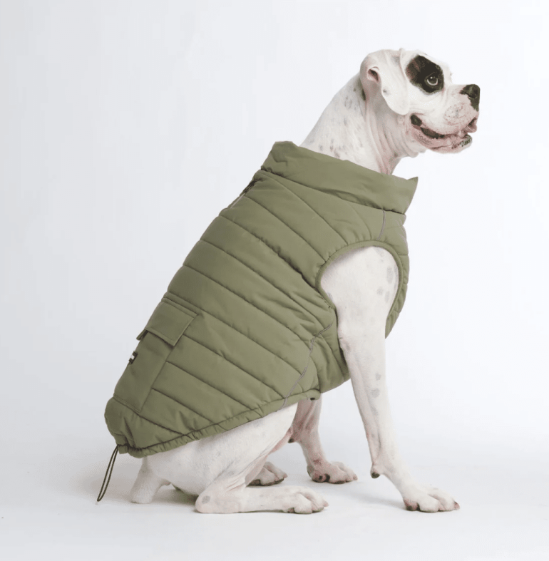 Best dog jacket