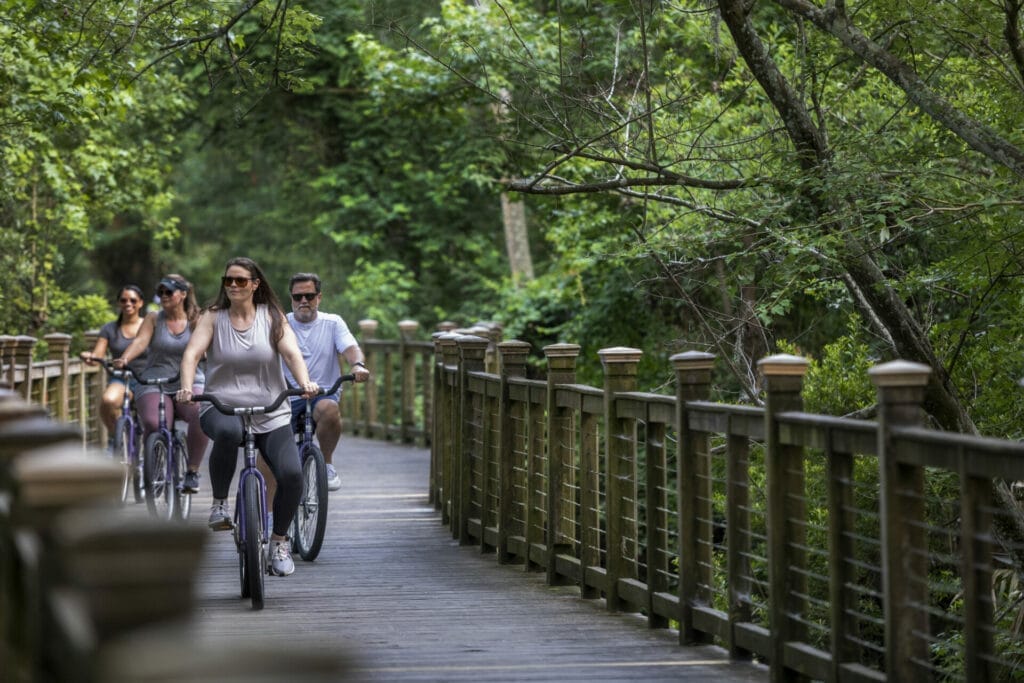 Hilton Head Health and Wellness