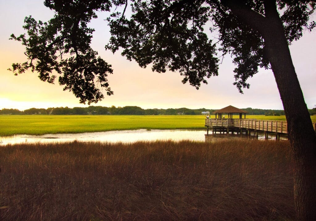 Hilton Head Health and Wellness